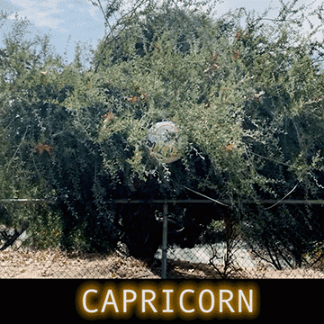  A lot of what we budget for is a spell that’s been casted by zombies. An immersive commercial for cherry red cars, steak frites or getting your MFA. We all mindlessly drool our way towards the promise of materials. We work up an enormous appetite for this or that, and then once it belongs to us - it becomes a responsibility (or worse, clutter). Once we have it, the perpetual sense of insufficiency jumps to the next thing. How might you tune your desires towards what actually sparks your joy and away from some sense of inadequacy ? How might you eliminate the bullshit of should's and have-to’s so that your basic survival is of service to your own self-respect ? Consider this: if no one was looking or would ever know about what you do or how much you make…what path would you take, what *stuff* would you have around you? Commit to defining your own self worth or risk a life lived under a zombie value system. 