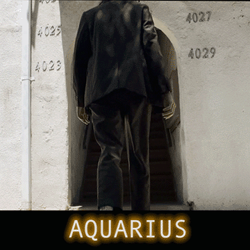  Great work can build in a shadow, collecting power where there is no light. I guess sometimes this can look like witchcraft, other times - fear. But the shadows don’t even know what power is, what good or bad is, the shadows don’t even know they are shadows. Why even take away your growl, why stop making that cool nook-like shape with your shoulders, let grief morph you into a direction (like a plant bending, twisting and repositioning their stem). Directions don’t even know what power is, what good or bad is, directions don’t even know they are directions. Directions are sorta like  just decide and adjust course based on information you slowly receive from dreams and divination.  How might you lean into the wild shapes the world has gargoyled you into, as if they are fulcrums in the dark collecting power. 
