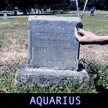  Whatever plan you have is as good as any. Whatever you are making in the world is alright. But a plan won’t get you anywhere and unless you know  why  you’re doing it. People make decisions with the part of their brain that hungers for food and feelings, a gut instinct doesn’t care how cool you look on paper. People come to you because they've got a feeling about you, because they believe what you believe - they resonate with your  why . Throw all your certifications into the cauldron. You are powerful just wandering down the block, pressing the crosswalk, cars stop - you are a  why  moving through space, people wonder where you're going...and follow. You were given a name like a round candy in your mouth. No need to bite down and ruin your teeth - taste the simple wholeness of why you're here. 
