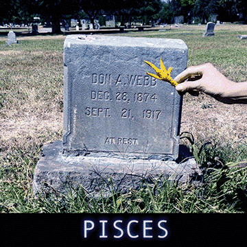  Imagine, tiny baby chickens in your hand. Imagine, you must decide which ones will become hens, which ones roosters. Imagine, the sex of a newborn chick is not inherently obvious. In fact, in baby chicks - the genders look identical. People go to school for this: chicken sexers. It takes a subtle eye to sort chickens. In fact, the only way to learn is to have a master chicken sexer stand behind you saying “yes” or “no” while you attempt to randomly sort them. Eventually your unconscious mind learns and you get more yes’s than no’s and you graduate. How might you sort your life out through unconscious learning ? We don’t have to clench and squeeze at the facts, sometimes knowing is more subtle than that, a delicate tiny bird. 