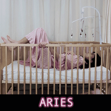  We see dogs do it all the time - this spinning search for the coziest plop, the hind legs crossing over and over before hitting the heart of rest. Comfort has aerodynamics, a soft spot formed by a structural curlicue, an invisible weaving of a shell. And with a healing *sigh* we settle, get quiet, process life, cry, remember. Doing great things in the world is near impossible without this private center, a nothing place, a meat and potatoes of familial affairs, a fullness of personal tones. Cross one leg over and over until you hit the spot. 