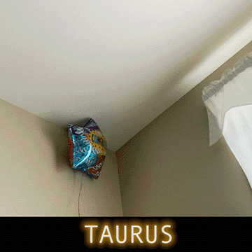  We’ve seen it in cartoons, a character is chased off the edge of a cliff…moving so fast, they defy the laws of gravity and run suspended mid-air. Likewise, we can sometimes feel chased by time. Chased by social pressure, chased by achievement, we find a void that has no footing. Sometimes only mid-air do we realize that the rules are all made up and its time to get clever. Sometimes dropping off the face of the earth is the most productive thing to do. All genius starts with making unpopular decisions and destroying a social norm. All genius can first sound like a descending slide whistle. All genius emerges from a dust cloud reconfigured as the truth. Do not fear what’s after the average edge, a clever world is beyond it.. 