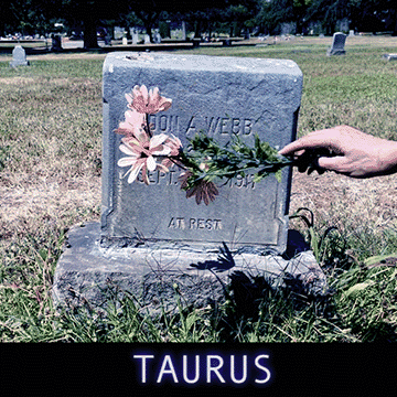  Despite the illusion of separation, there are some places you go where other people just can’t come with. The quiet of opening your eyes in the morning, the part of that song that makes you cry, the real thought behind the thought behind the actual thought you shared out loud. Inside yourself is a table reserved for one, a place to play with your food and process. Sometimes you forget to make reservations there, how can a hole in the wall be worthwhile? But, the actual purpose of self-development isn’t to become successful, powerful or even happy. The purpose is always to get to know yourself, like you would get to know anyone you’re falling in love with. Intimacy is built over time by proving to a person that you can show up, listen...unconditionally. Go on and take yourself on a date, go on and pull yourself into a passionate kiss. 