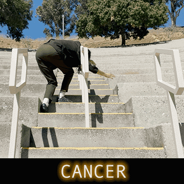  Gimme that oxytocin, gimme that ancient body-and-brain molecule, gimme that thing that decreases stress response, licks at each other's fur. It’s not the sex, it’s not the shared values, it’s not that they make you laugh. Checking off relationship must-haves is childsplay without the one essential joy: trust. Trust has nothing to do with chemistry, it is a tired old dog that is built through time and labor, small micro-expressions, speech intonations, small moments of presence affirming you are okay to ask for help. When you let yourself ask for help, you drop a dose of trust molecule - drip drip drip, we slowly show each other the shape of our bond and our boundaries - drip drip drip, we forgive each other when we’ve fallen short -- drip drip drip, through time, we learn to pass through the portal of trust. 