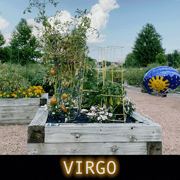  The wisdom you’ve been carrying around has reached a threshold of boredom - the word “reality” now featuring a perpetual question mark “?” …your methods have played themselves out and new rituals are waiting for you. What you thought was working may be an unsustainable design flaw and it’s time to take inventory…how do your everyday habits layer up on each other to become your life ? If we stare at a screen all day, eventually you layer up into a pale creature of the night, eventually your hormones cringe, your brains spill out your eyes. How to open your eyes in the morning without brains getting everywhere? How you decide to use your time ends up becoming your philosophy on living. To update your schedule, one must update the meaning of life. 