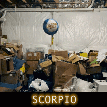  Wherever we go, wherever we live, whatever blanket we sit under is an attempt to get back into the womb…to hear a caretaker’s heartbeat. We search all our lives to re-align to this drum - to connect a chord to a rhythm of safety. The home you choose to live out of sets your pulse, every piece of land has a rhythm. We learn to find the places and people that sing with us. We also learn ways our rhythm might be off, discordant or even tone deaf…where familial trauma has passed us the mic. To learn new music, we must learn to invent and improvise on our own - we must let our pulse get interrupted by outside forces. To learn new music, we must fall in love with someone else’s song and oscillate together. You are pumping new sound waves into old shivering places. 