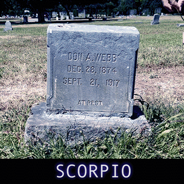  We build a nest around a cute mask and give it a cute name. Yet, once in a while someone calls us something new and we can’t help but turn our head. Some names explode the nest, twigs and dirt fling everywhere. The self is not frozen in time, all old neckties become a binding spell...life is a constant cycle of re-parenting. One day long ago, you decided to put one hand behind your back because it was convenient and cool — but imagine what you could be doing with two hands, imagine how much more life you could hold. It’s time to demolish an old style of autonomy, because in order to grow you sorta have to die a little. In order to grow, you sorta have to change your name, sorta have to stop walking around with one hand behind your back. 
