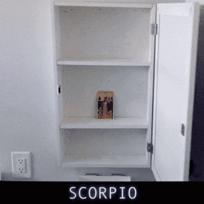  The contractions of a grand gesture are becoming more frequent. Ripe with creativity, the world is ready to see what you’re really good at…the parts of you that cannot be replicated by another. Yet, though this work is so YOU, its gravitational pull depends on the counter-weight of its audience. In the end, nothing is more important to your self-expression than your community. The opposite of community is anonymity - which keeps you hidden and holds no one accountable. Community asks us: Can I trust you? Do you care? Can I rely on you? With this full moon, consider how your big magic is cultivating this bond within your circle. Sing your song with the birds, let them dart around your hair, let them cross your heart to tie off a bow. How can you bring out the joy of other peoples skills, how can your glamour be a community effort ? 