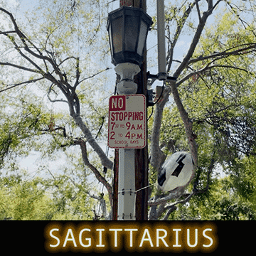  What’s the difference between “I am lost” and “I am discovering what’s next” …? The way we organize language either closes or opens our nervous system. We all play little movies in our head with messed up titles…my favorite: “I Suck” or “This Won’t Work”...we loop and loop R-rated content and wonder why we feel like shit, as if it just came upon us for vague reasons. Our brains do not know the difference between real or imagined states. If the dark theater of our mind is playing a chase scene, the blood will rush to our hands and legs - our bodies prepare to run. Remember, you have the power to play a good movie, with a good soundtrack and a powerful lead. Remember your brain wants to have a purpose. Remember to give your brain a positive purpose, and to watch that movie until the blood rushes to your hands. 