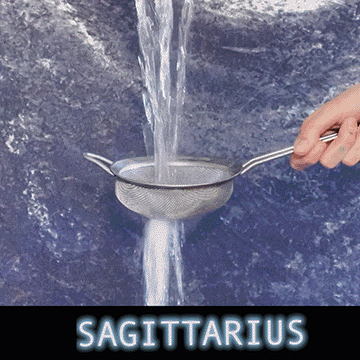 All families are a boat crew, rolling up rope, opening sails, getting through storms, shipwreck after shipwreck. You settle into this world with a secret part of the sea passed down from mom to dad to whale. You’ve emerged from a mess of floating wood to raise your pirate flag. A long line of kin living and loving and fighting and growing and un-growing until someone steps it up, opens the map and points at the longer route. Gather the floating wood, make a sturdy floor, or why not even stairs, why not climb and feel the salty wind on the upper deck of the vessel.