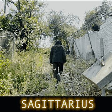  We are all sitting in air-conditioning and going extinct. We are all acquiring useless gadgets, golden toilets and wireless dings. Yet, our worthiness goes beyond paying rent and reeking like perfume. Imagine how *alive* you are right now ! Electricity is all over you, your body is playing your internal organs like jazz - everything you come into contact with, sets it's drum beat. How important it is to press your weight against good friends, good food and a cold rock - to regulate your body with a beaver dam or a tunnel made by a mole…how important to make sure this jazz doesn’t become doom metal. Modernity looks sleek and all (plastic in our blood, blue light) but how might you remember what humans are for..? Go press the low buzz of stress hormones against a quiet, cold rock. 