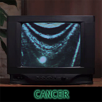 The future of fashion will be to hide your body under a garish parade float, make everything mysteriously round - replace t-shirts and pants with paper mache and hard angles, we have no idea what creature is there...what waist size even means. Construct a framework that can withstand all the jostling and whistling of the wind as it cruises along, covered in flowers, natural materials, leaves, bark, seeds. Imagine you, sitting safely inside, hearing all the oohhhhss and ahhhhs of your onlookers. Imagine this type of joy, of having chosen the parts of you that get to be big and on display and the parts that get to quietly wave.     