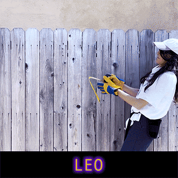 So much work to maintain the body and the land it rests on. So much work, all the little steps that repeat themselves - all the laundry, dishes, mowing and brushing. All these chores to maintain our bearings, over and over - because when something is alive, it piles up, stretches out until it presses against the part of the world that stops it. The body loves to be alive - its vying to be a vessel, in the same way a ceramist feels the clay moving its hands. Our physicality is always aiming towards its own healing shape - yearns to press up against everything until the world stops it.