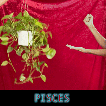  Sometimes what we do for money has nothing to do with who we are. Sometimes you gotta wash dishes and keep quiet about an art practice, a research hole, or obsession with astrology :)) It's a serious privilege to have a gig that matches your face. Some prefer to compartmentalize - but let us imagine closing the gap...between what you love doing and survival. Close the gap between your labor and your joy. It may start in small ways of asserting your personal values at work, naming your price or vacation time. It may be a big leap to another role or acts of personal opinions where you'd usually stay quiet...find a way to feed your life by being YOU.   