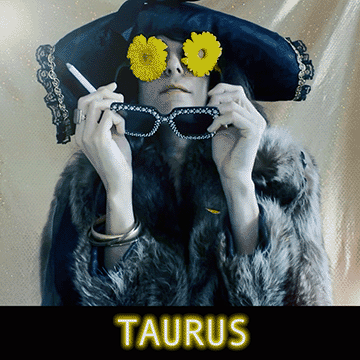  Talking to yourself in the kitchen, scratching, picking, zoning out - there is somewhere our body goes when no one is watching. A brain wave, a nervous system thump, a chair-throne to plug into. It is here in this kingdom where spirit has room to strike. It is here in privacy that roses are tiny seeds, closed doors open hearts. In secrecy, something special shakes alive, the value of your silence gives it sunlight everyday, until finally full bloom, a wreath of flowers crowning your head. 