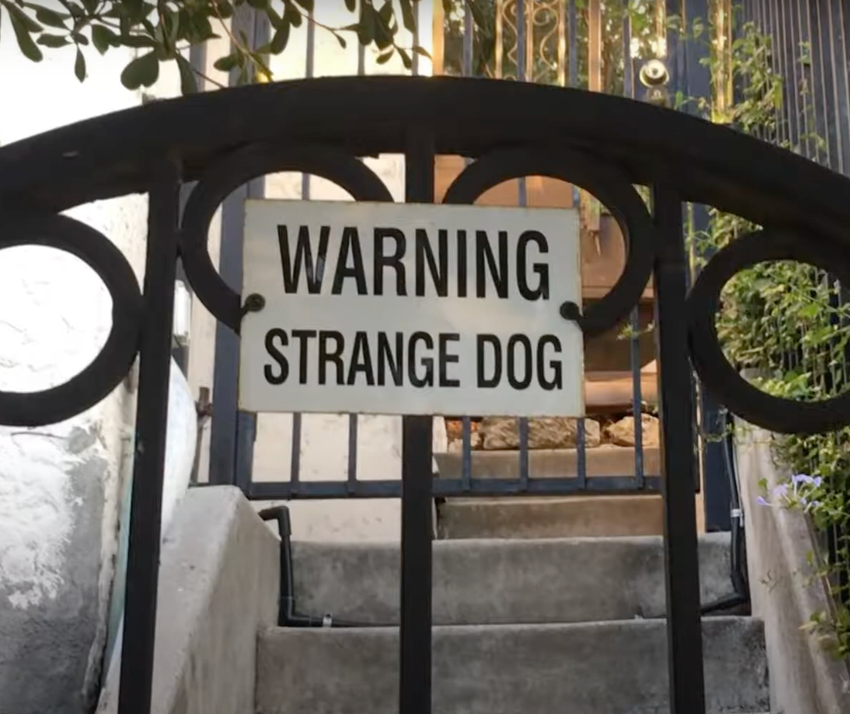 INSOMNIA AND WITCHES: MERCURY IN SCORPIO