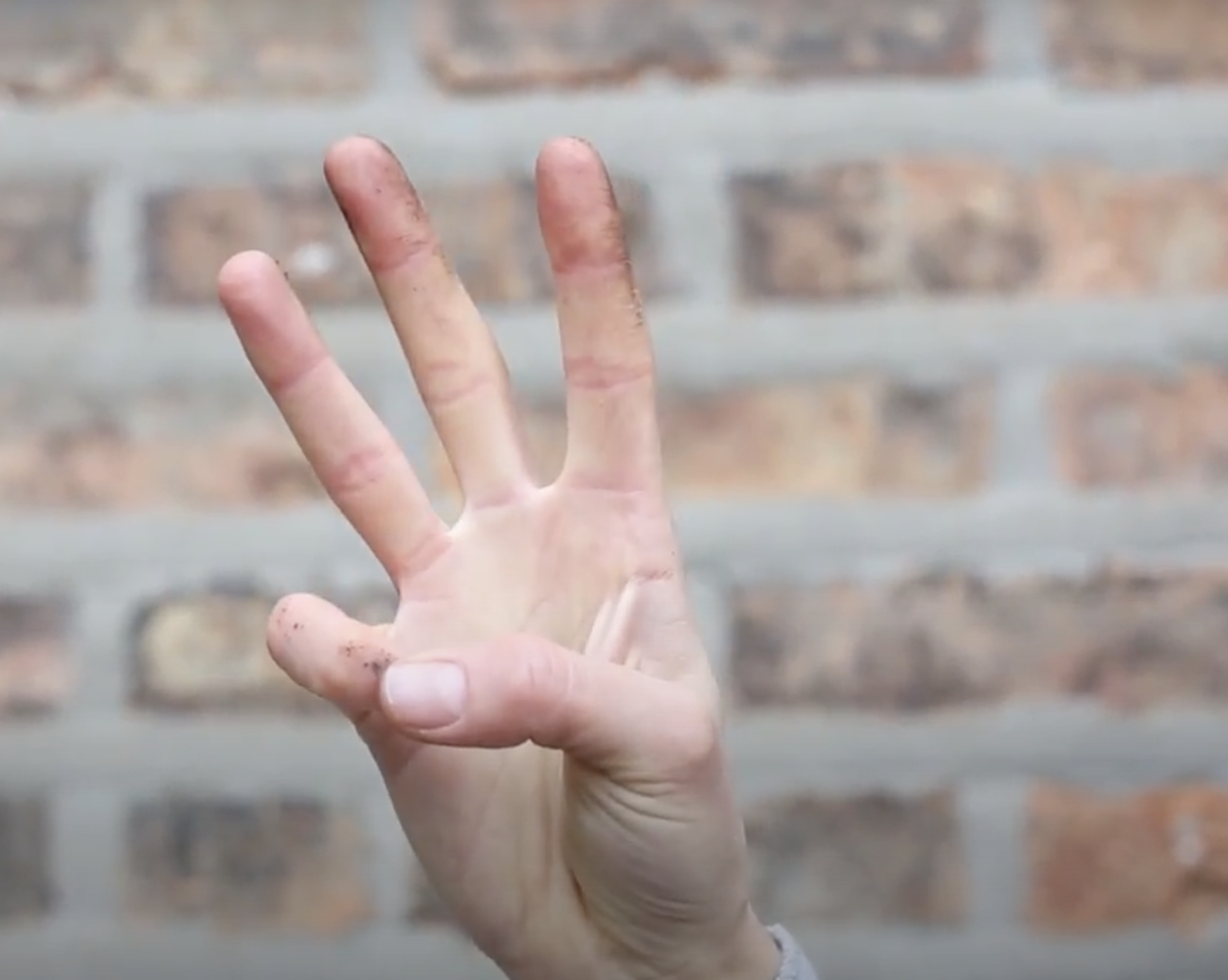 WELCOME TO DEAD DIARY: THREE YEAR PLAN