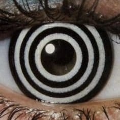 ECLIPSE SEASON: WHY IT ROCKS